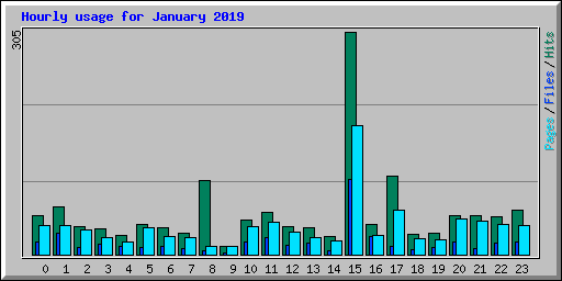 Hourly usage for January 2019